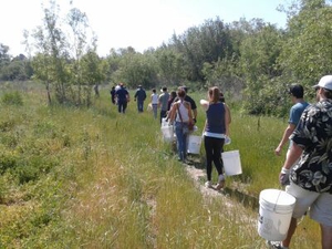 students with buckets walking down a trail
